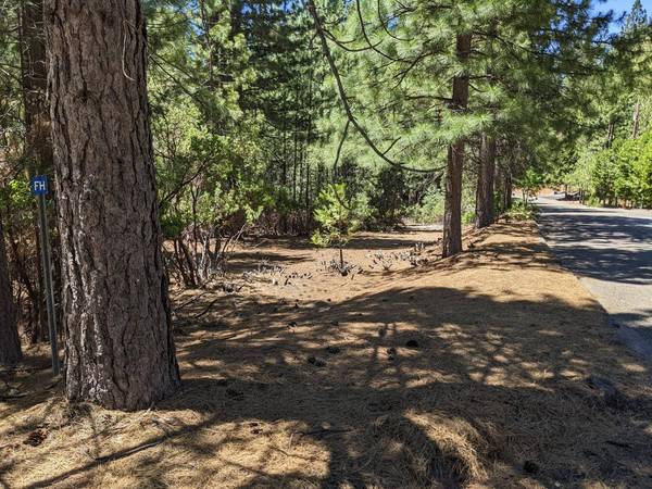 0 0 Wildrose Dr, Grizzly Flats, CA 95636
