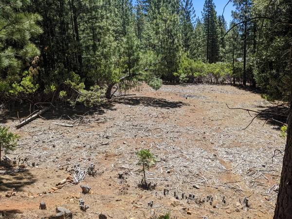 0 0 Wildrose Dr, Grizzly Flats, CA 95636