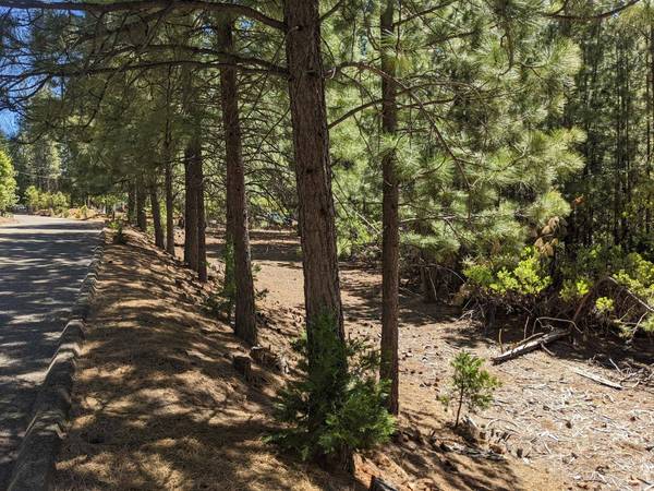 0 0 Wildrose Dr, Grizzly Flats, CA 95636