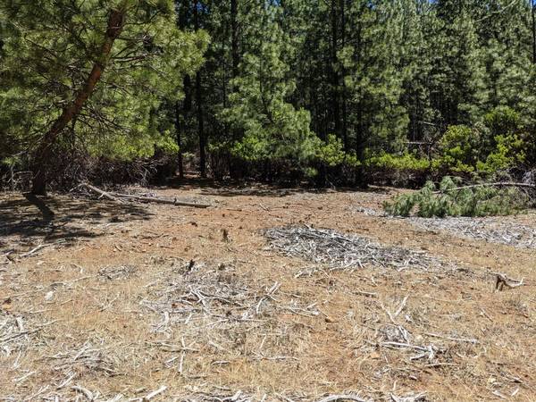 0 0 Wildrose Dr, Grizzly Flats, CA 95636