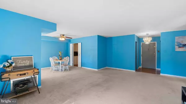 6317 PARK HEIGHTS AVE #217, Baltimore, MD 21215