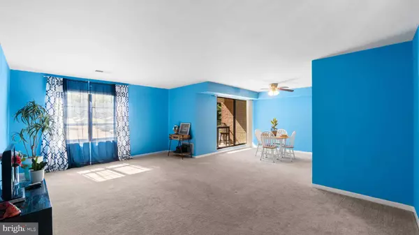 6317 PARK HEIGHTS AVE #217, Baltimore, MD 21215