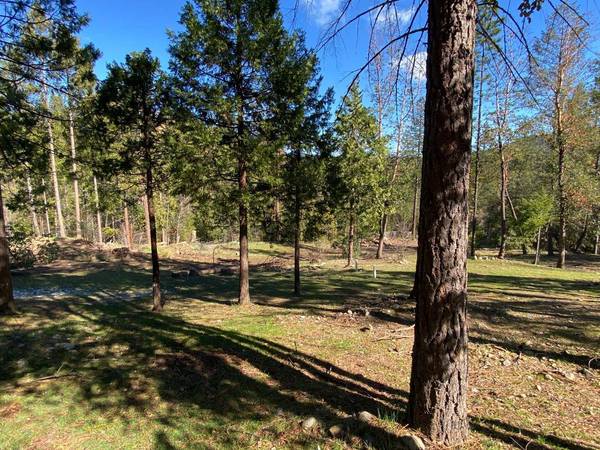11761 Central Mine Rd, Nevada City, CA 95959