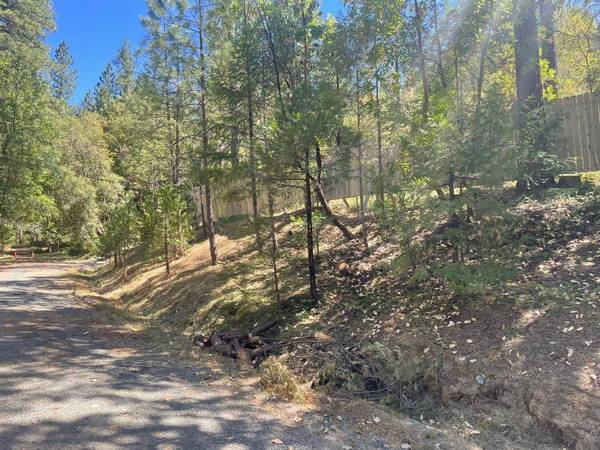 11761 Central Mine Rd, Nevada City, CA 95959