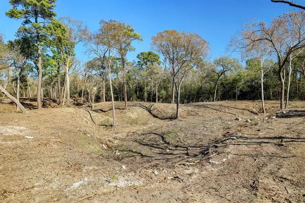 0 Deerwood DR, Houston, TX 77042