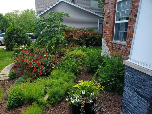 12928 Grande Pines Boulevard, Plainfield, IL 60585