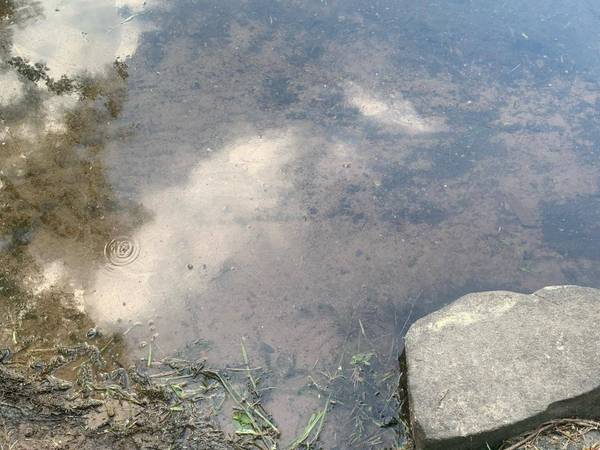 7964 ARMOUR LAKE RD, Presque Isle, WI 54557