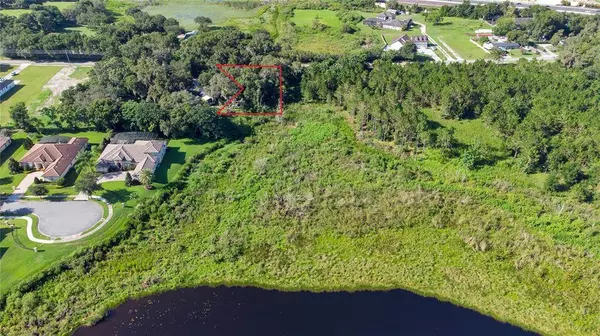 MORTON JONES RD, Gotha, FL 34734