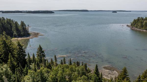 Lot #4 Nepp Point Road, Roque Bluffs, ME 04654