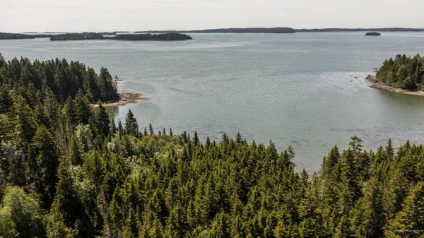 Lot #4 Nepp Point Road, Roque Bluffs, ME 04654