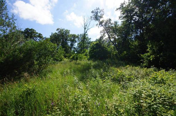 25606 24th ST W, Zimmerman, MN 55398