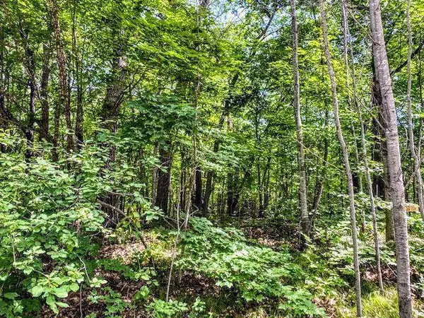 TBD Dogwood DR, Garrison, MN 56450