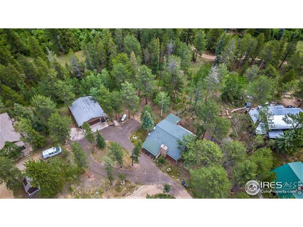 175 Bill Waite Rd, Allenspark, CO 80510