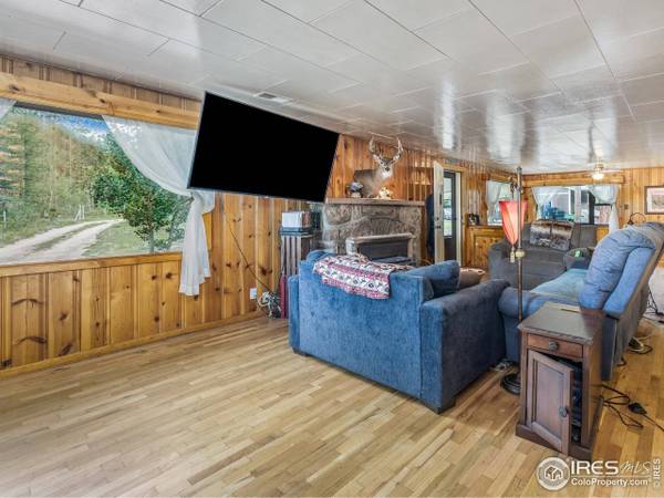 175 Bill Waite Rd, Allenspark, CO 80510