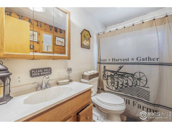 175 Bill Waite Rd, Allenspark, CO 80510