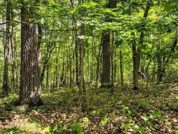 TBD Dogwood DR, Garrison, MN 56450