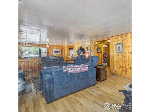 175 Bill Waite Rd, Allenspark, CO 80510