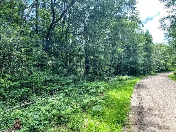 TBD Dogwood DR, Garrison, MN 56450