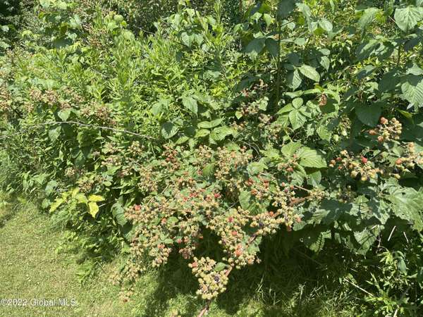 1422 Peaceable ST, Charlton, NY 12020