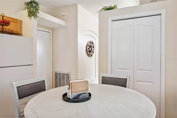 10101 BELLEVILLE PL, Tampa, FL 33624