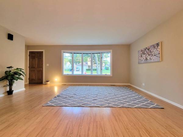 728 Nassau DR, Roselle, IL 60172