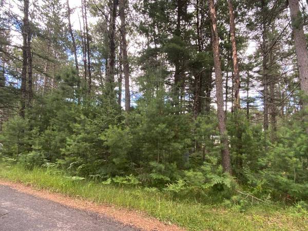 Lot 47 HOLIDAY DRIVE E, WI 54558