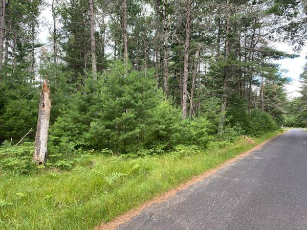 Lot 47 HOLIDAY DRIVE E, WI 54558