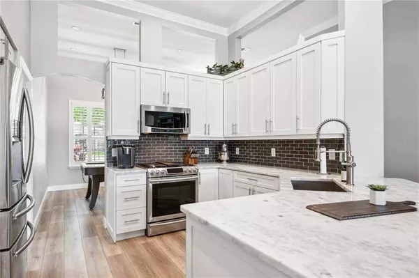 19613 MORDEN BLUSH DR, Lutz, FL 33558