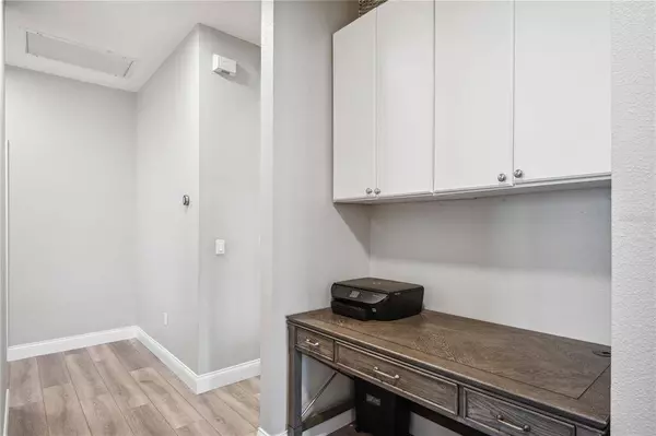 19613 MORDEN BLUSH DR, Lutz, FL 33558