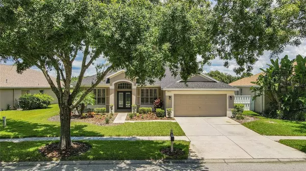 19613 MORDEN BLUSH DR, Lutz, FL 33558