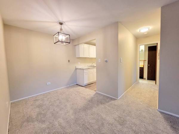 10A E Dundee Quarter DR #207, Palatine, IL 60074