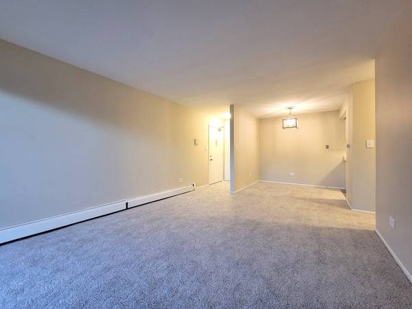 10A E Dundee Quarter DR #207, Palatine, IL 60074