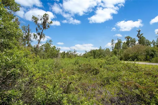 HOLY COW RD, Polk City, FL 33868