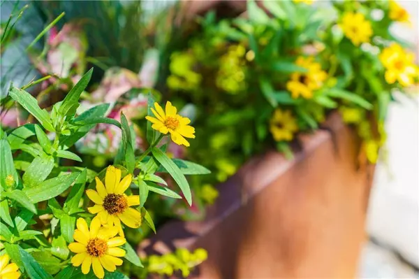 773 Winton WAY, Atlanta, GA 30312