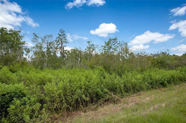 HOLY COW RD, Polk City, FL 33868