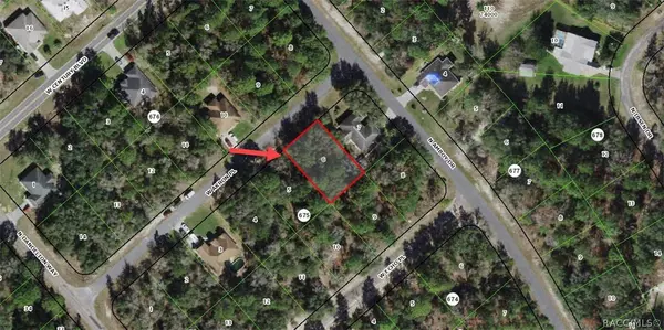 2974 W Akron PL, Citrus Springs, FL 34433