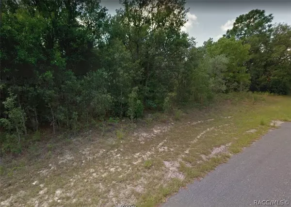 2974 W Akron PL, Citrus Springs, FL 34433