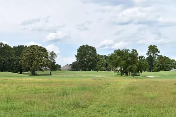 TBD North Lake Cr. (R-13), Manning, SC 29102