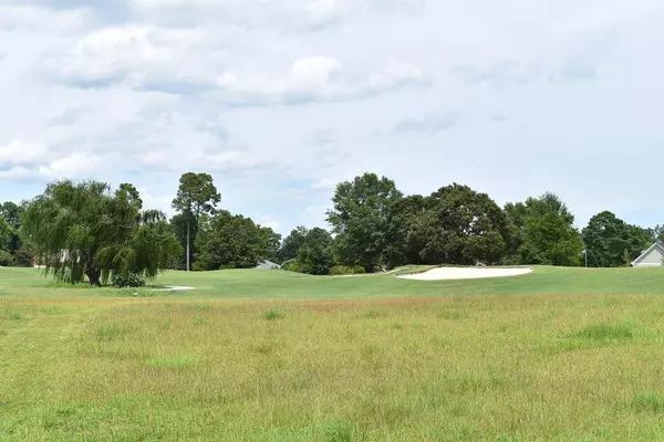 TBD North Lake Cr. (R-13), Manning, SC 29102