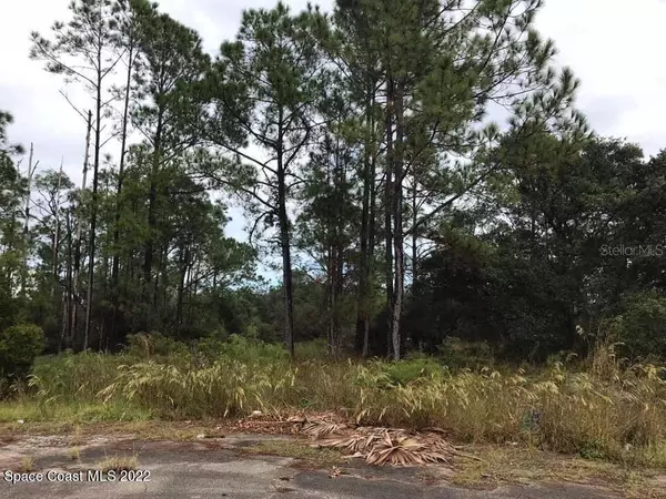 1254 WAHNETA CT, Poinciana, FL 34759