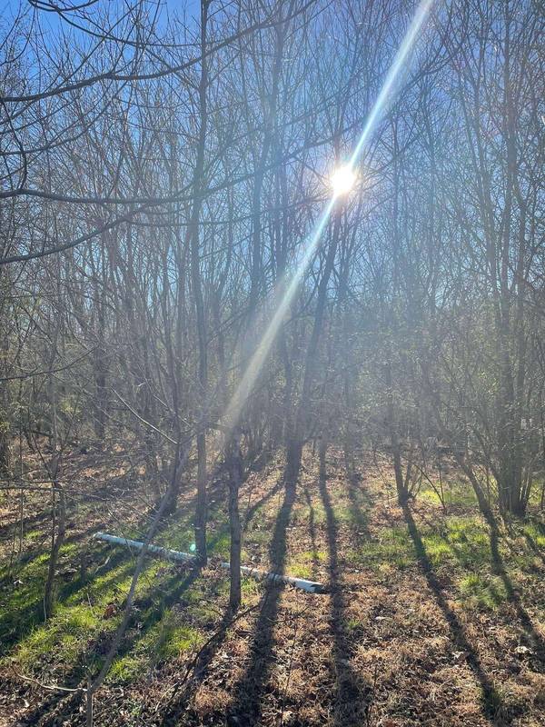 0 Eno Rd., Dickson, TN 37055