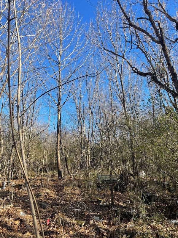 0 Eno Rd., Dickson, TN 37055