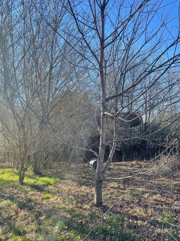 0 Eno Rd., Dickson, TN 37055