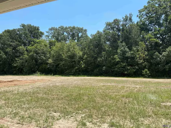 58825 ISLAND DR, Plaquemine, LA 70764