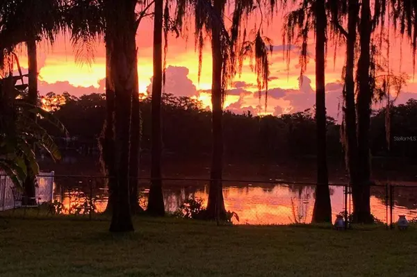 4111 COX DR, Land O Lakes, FL 34639