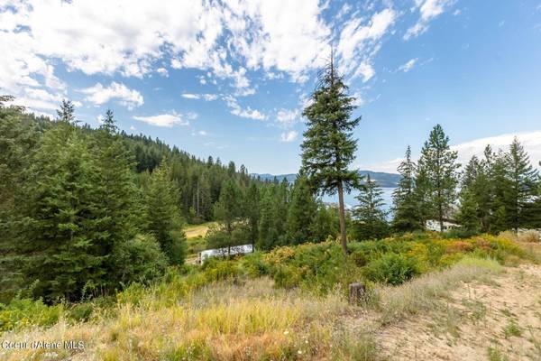 L9B1 E Flying Eagle Rd, Harrison, ID 83833