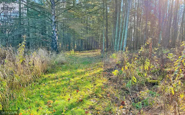 31903 Caroll RD, Aitkin, MN 56431