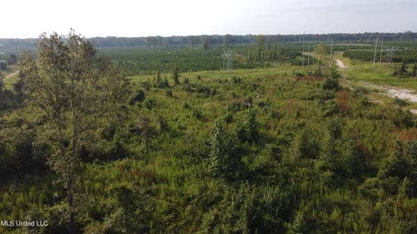 568 Stump Ridge Road, Brandon, MS 39047