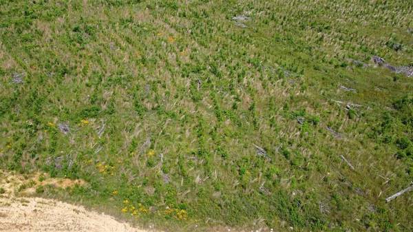 450 Stump Ridge Road, Brandon, MS 39047