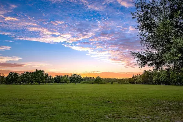 1402 HOLY COW RD, Polk City, FL 33868